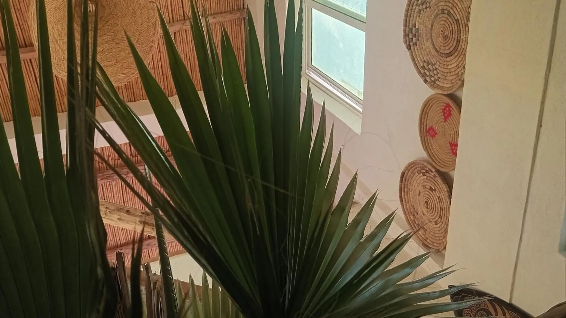 Ubytování v soukromí Moroccan Boho Surf House Agádír