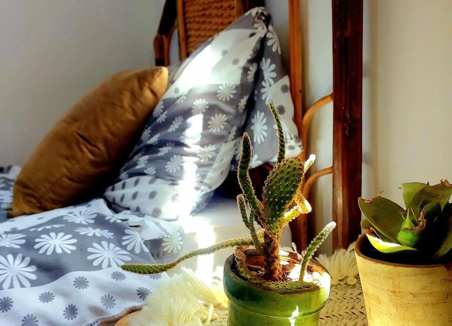 Moroccan Boho Surf House Agadir 0*,  Maroc